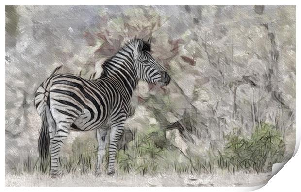 Zebra In The Wild Print by Keith Furness