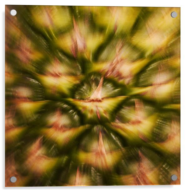Pineapple Rush Acrylic by Tom Reed