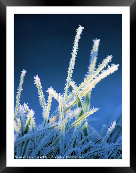 Winter Grass Framed Mounted Print by Brian  Raggatt
