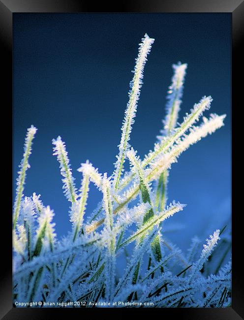 Winter Grass Framed Print by Brian  Raggatt
