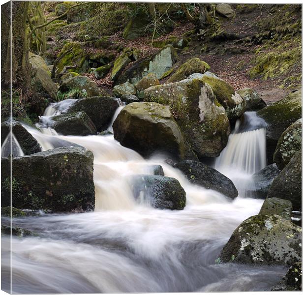 Paddly Gorge Stream, Peak District Canvas Print by Tom Reed