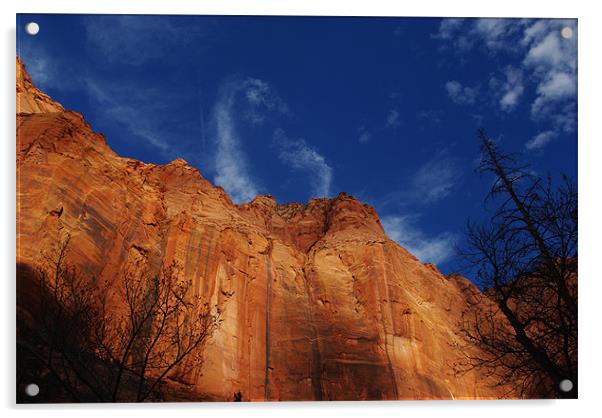 Gigantic rock wall, Kolob Canyon, Zion, Utah Acrylic by Claudio Del Luongo