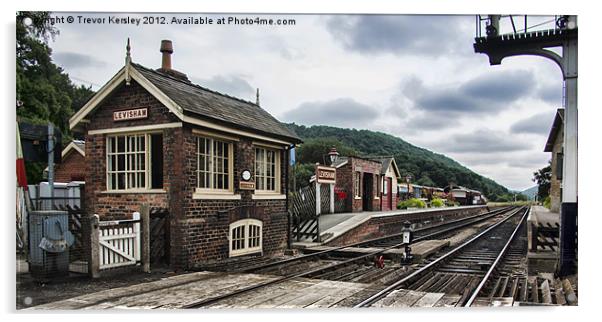 Levisham Railway Station Acrylic by Trevor Kersley RIP
