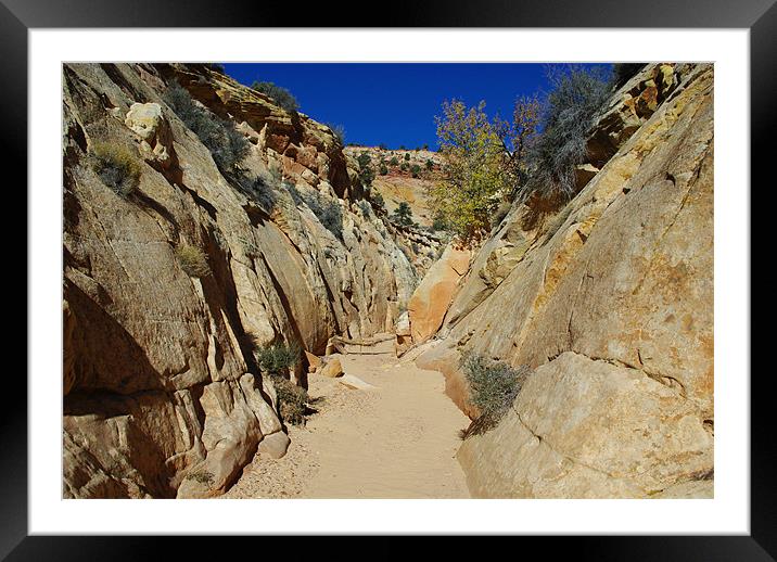 Secluded Canyon, Utah Framed Mounted Print by Claudio Del Luongo