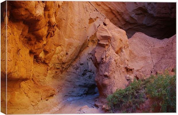 Colours of a slot canyon, Utah Canvas Print by Claudio Del Luongo