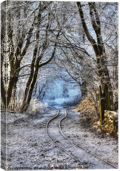 The Rickety Track Canvas Print by Alison Streets