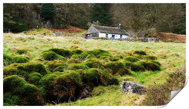 The Cottage In The Woods Print by Brian Sharland