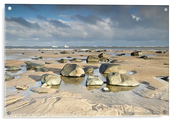 Tidal Pool Boulders Acrylic by Chris Frost