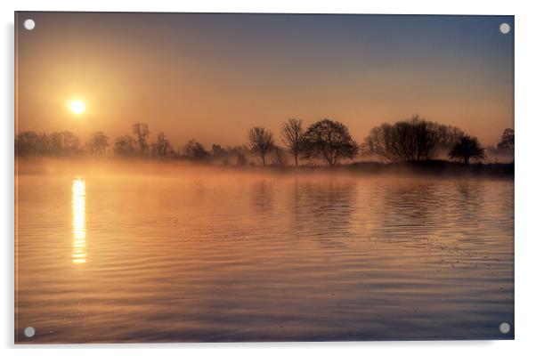 Misty Dawn Acrylic by Tracey Whitefoot