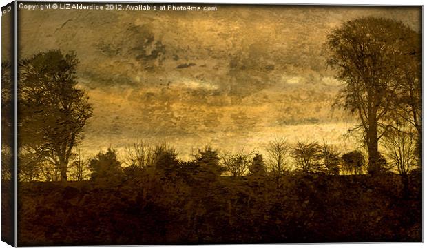 Landscape of Yesterday Canvas Print by LIZ Alderdice