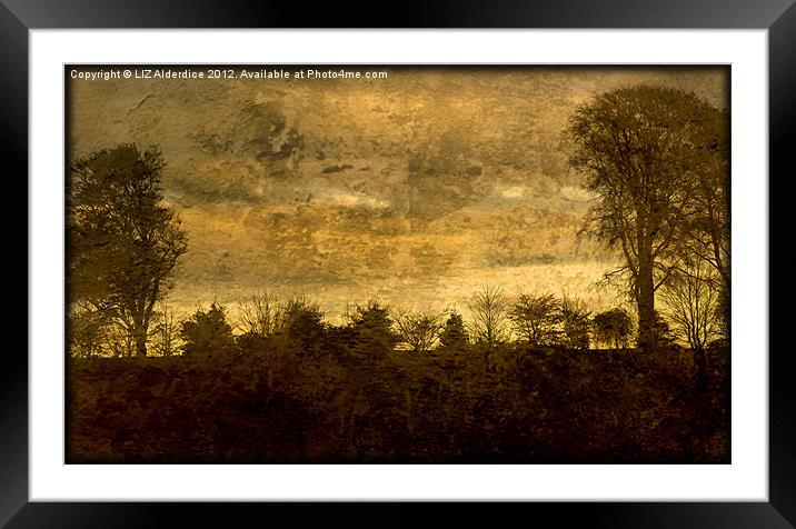 Landscape of Yesterday Framed Mounted Print by LIZ Alderdice
