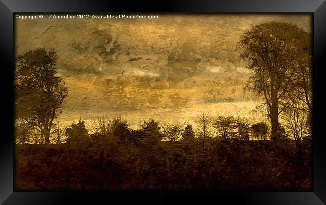 Landscape of Yesterday Framed Print by LIZ Alderdice
