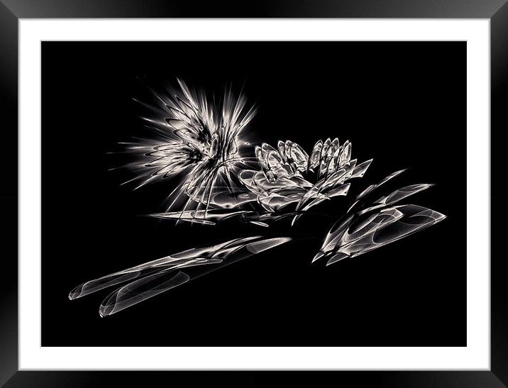 Butterfly and Lotus Framed Mounted Print by Mary Lane
