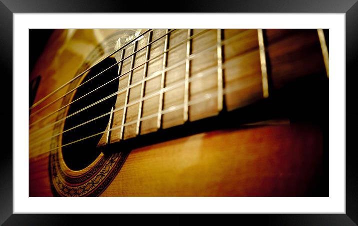 My Guitar Framed Mounted Print by Tom Reed