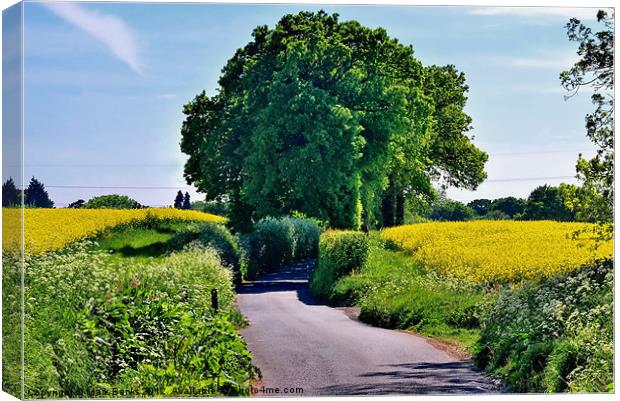 Country Lane Canvas Print by Mark  F Banks