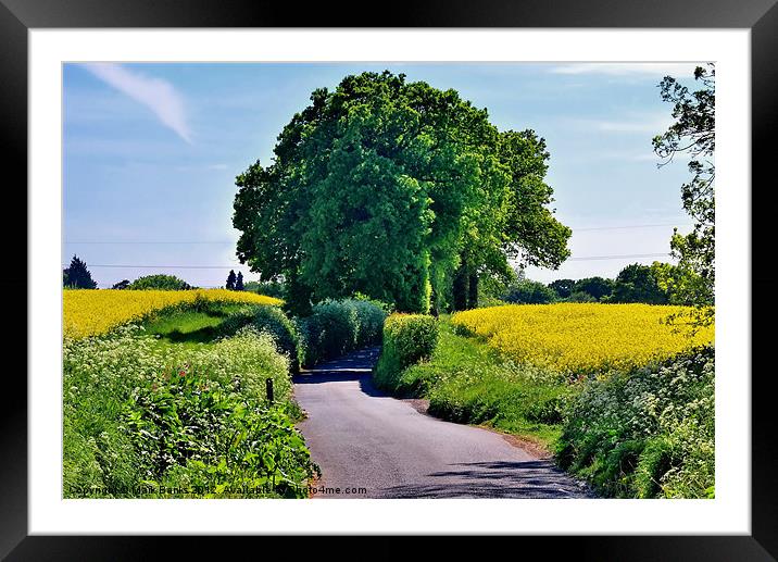 Country Lane Framed Mounted Print by Mark  F Banks
