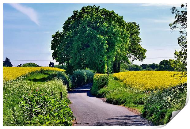 Country Lane Print by Mark  F Banks