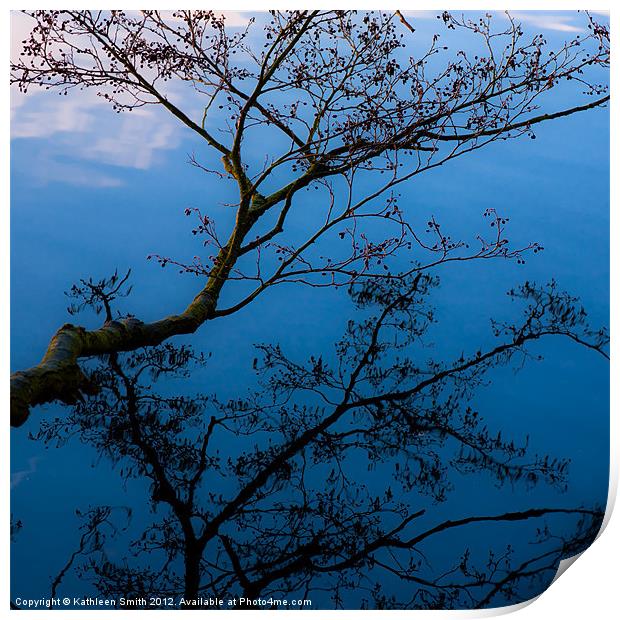 Branch over water Print by Kathleen Smith (kbhsphoto)