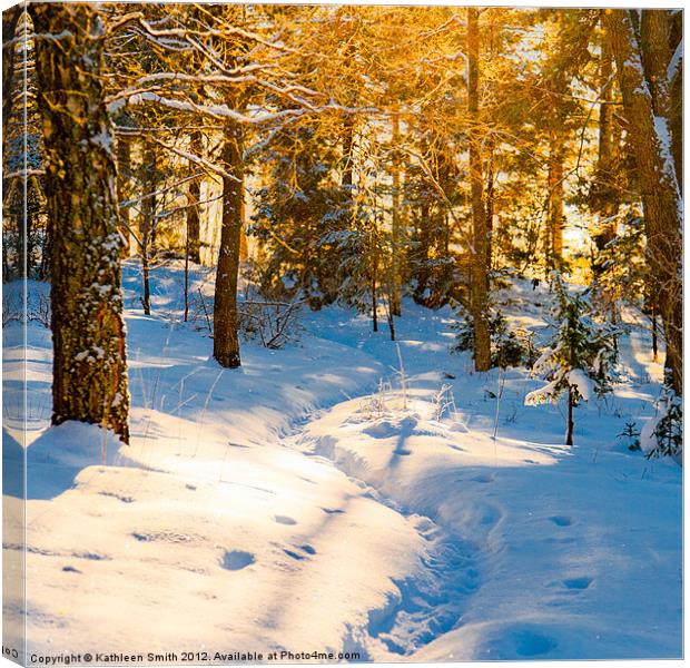 Path through winter woods Canvas Print by Kathleen Smith (kbhsphoto)