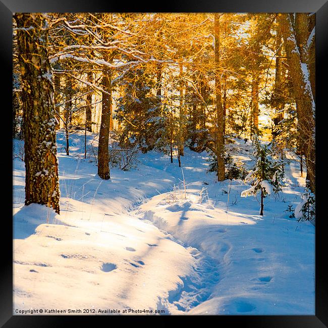 Path through winter woods Framed Print by Kathleen Smith (kbhsphoto)
