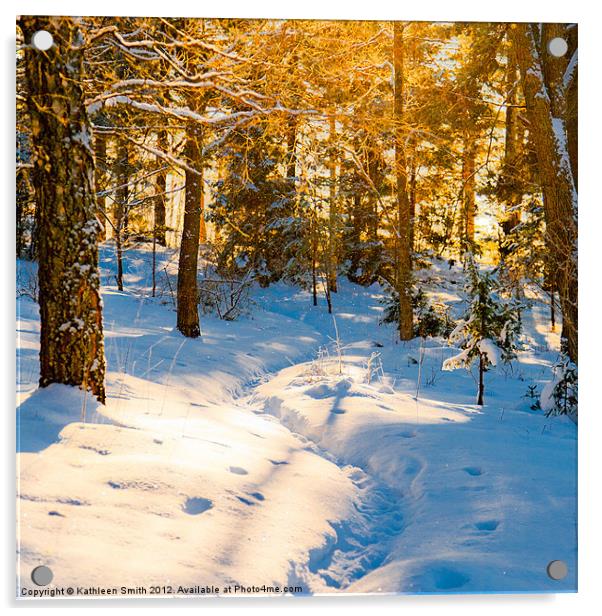 Path through winter woods Acrylic by Kathleen Smith (kbhsphoto)