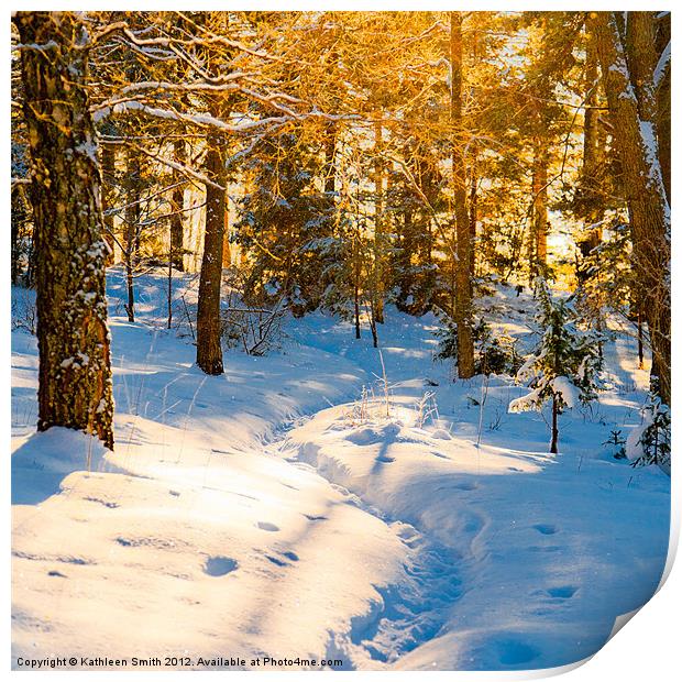 Path through winter woods Print by Kathleen Smith (kbhsphoto)
