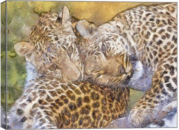 Loving Leopards Canvas Print by Keith Furness