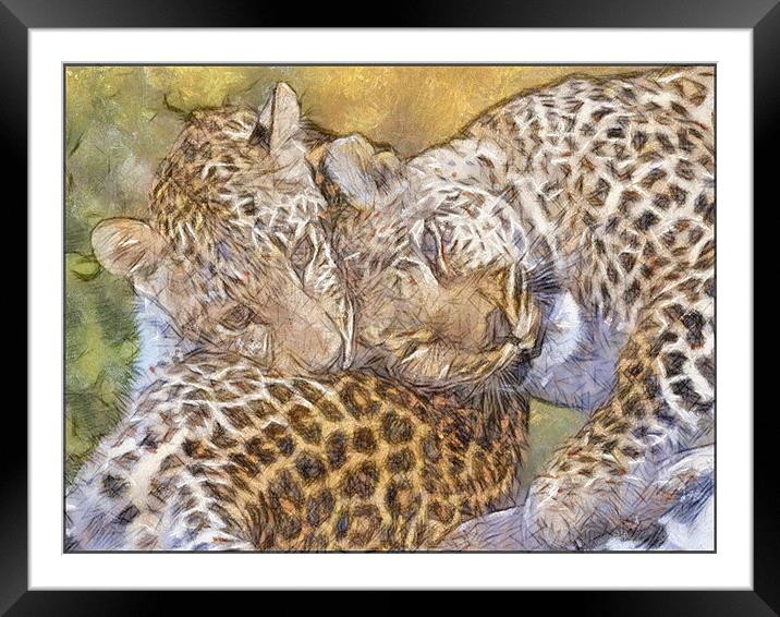 Loving Leopards Framed Mounted Print by Keith Furness