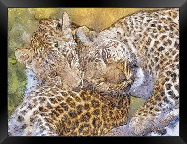 Loving Leopards Framed Print by Keith Furness