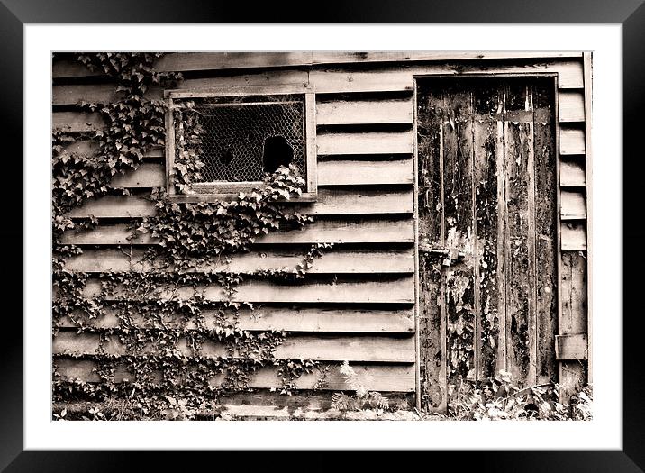 Old Shed, Vynes Estate Framed Mounted Print by Brian Sharland