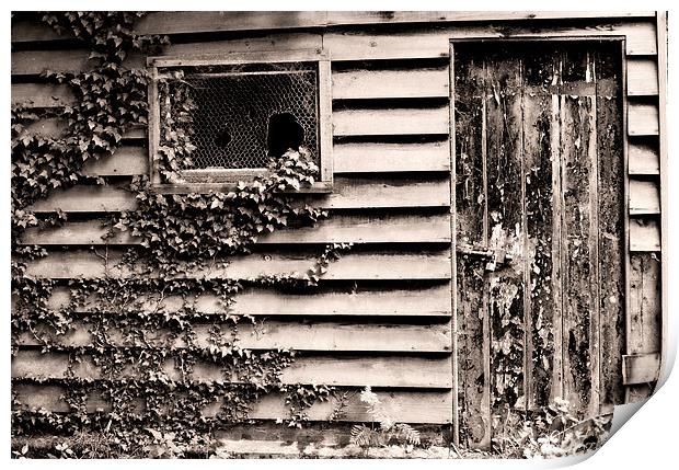 Old Shed, Vynes Estate Print by Brian Sharland