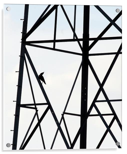 Pylon Bird Acrylic by Mike Gorton