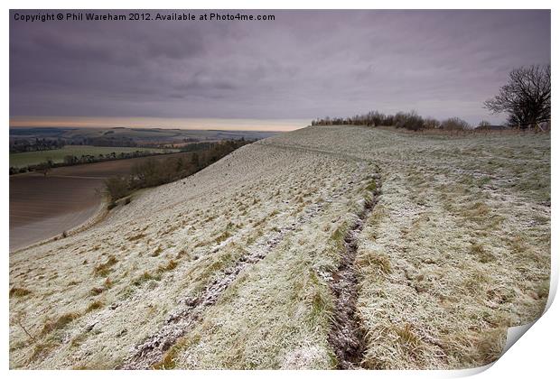 Winter Hillside Print by Phil Wareham