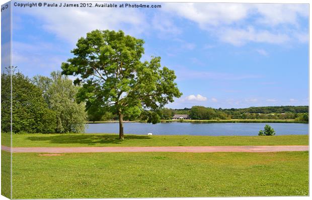 Cosmeston Lakes Country Park Canvas Print by Paula J James