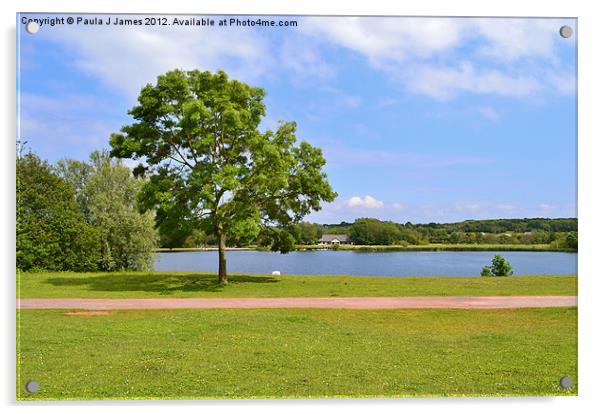 Cosmeston Lakes Country Park Acrylic by Paula J James