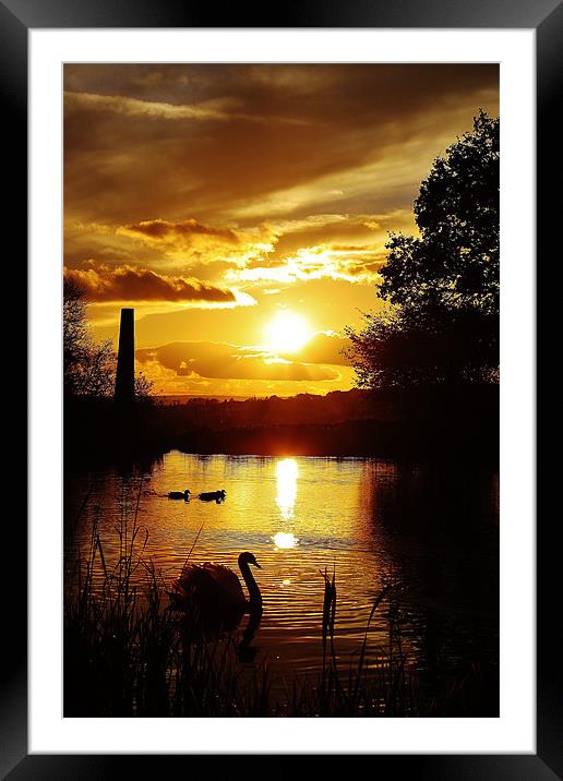 Golden glow, sunset Framed Mounted Print by Catherine Davies