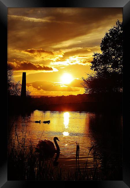 Golden glow, sunset Framed Print by Catherine Davies