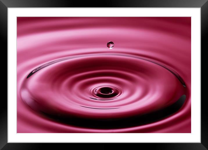 A Single Drop Framed Mounted Print by Paul Shears Photogr