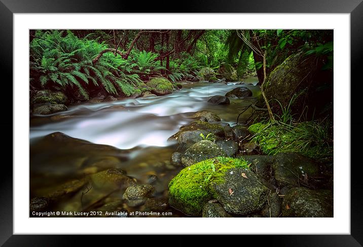Tunnel of Light Framed Mounted Print by Mark Lucey