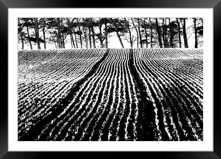 black and white field Framed Mounted Print by Gavin Wilson