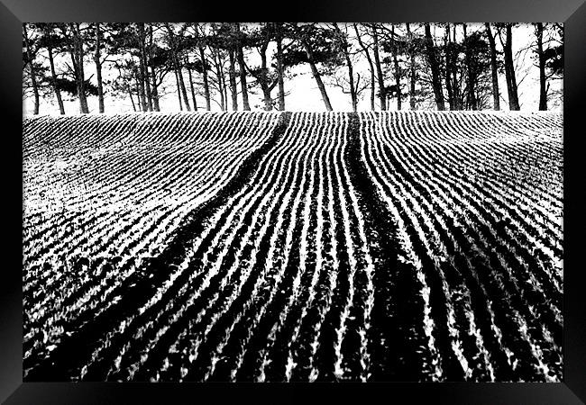 black and white field Framed Print by Gavin Wilson