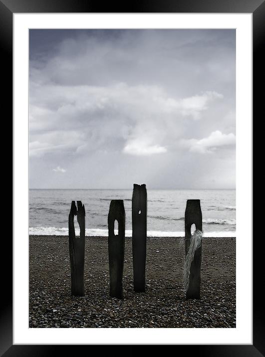 Pett Level Sea Defences Framed Mounted Print by Brian Sharland