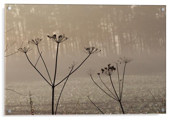 winter foliage Acrylic by Gavin Wilson