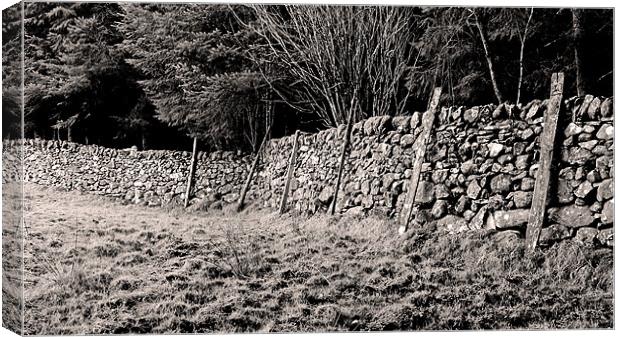 Welsh Dry Stone Wall Canvas Print by Brian Sharland