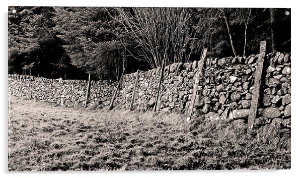 Welsh Dry Stone Wall Acrylic by Brian Sharland