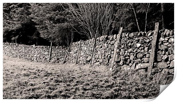 Welsh Dry Stone Wall Print by Brian Sharland