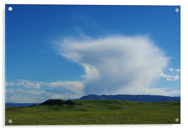 Clouds and prairie near Laramie, Wyoming Acrylic by Claudio Del Luongo
