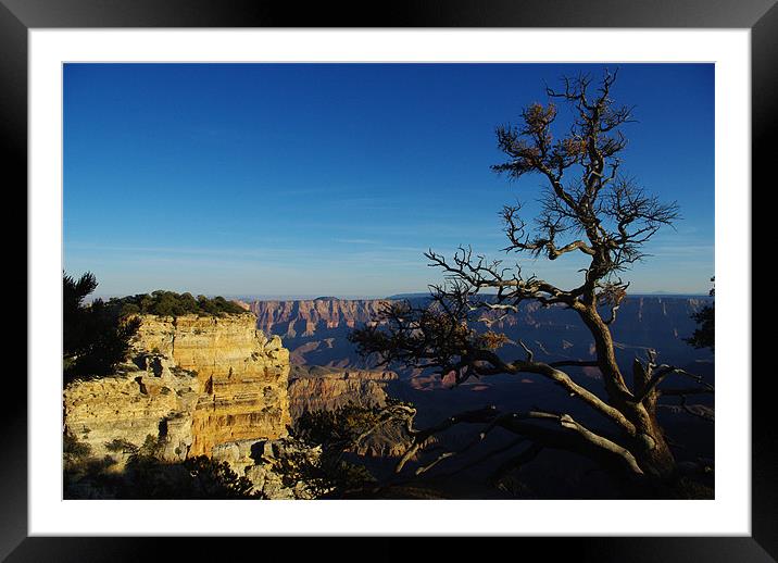 North Rim, Grand Canyon Framed Mounted Print by Claudio Del Luongo