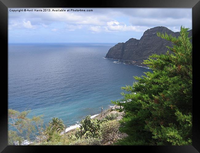Sea View from La Gomera Framed Print by Avril Harris
