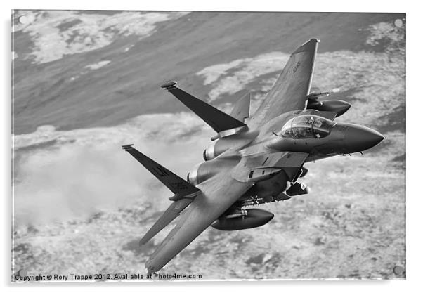 F15 in Wales Acrylic by Rory Trappe